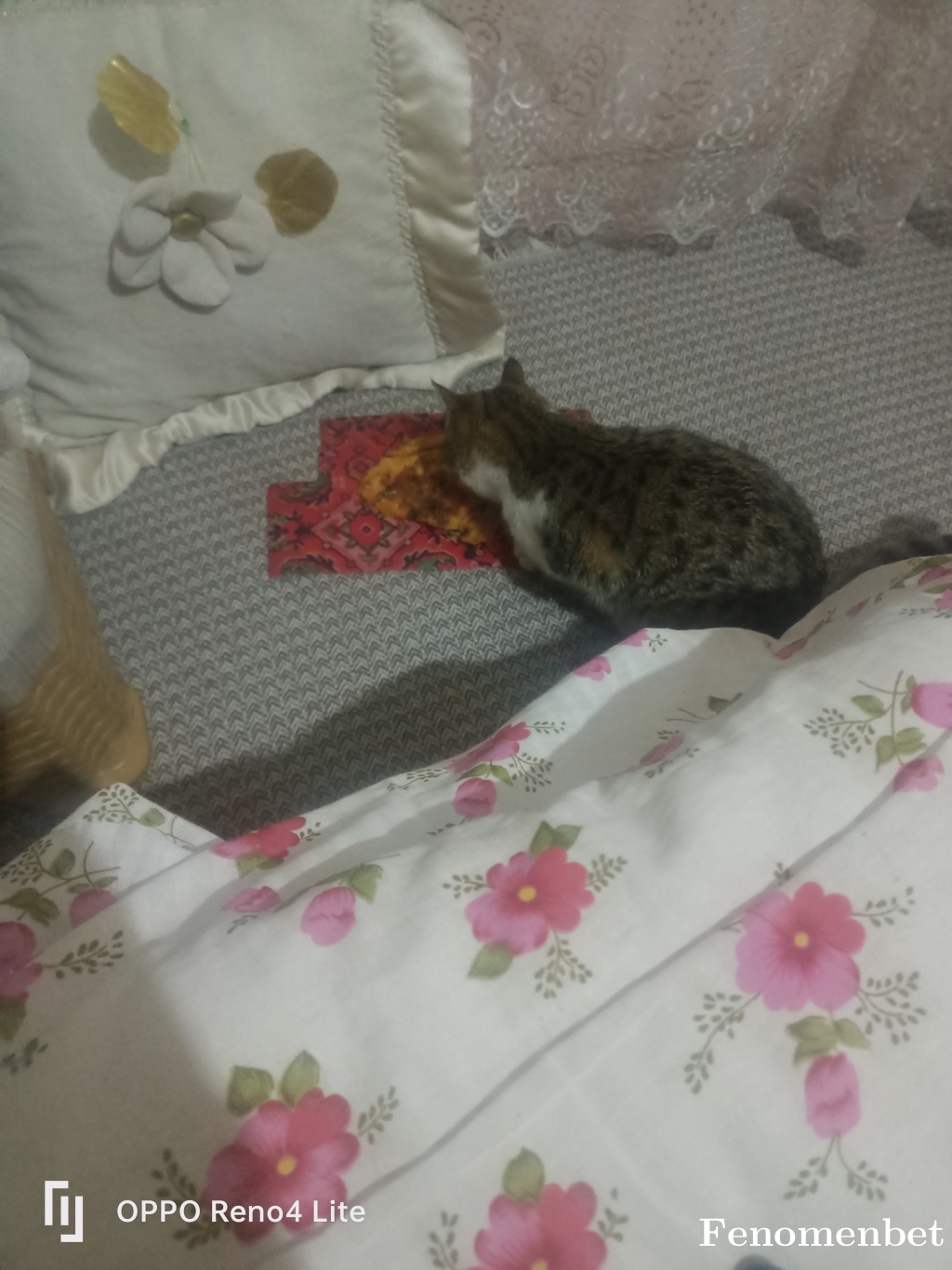 umuterkol06 tarafından paylaşıldı