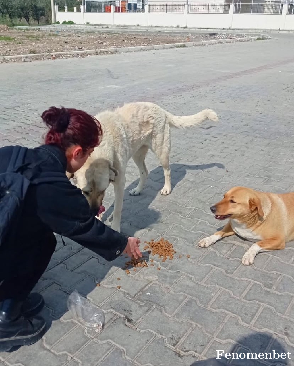 cigdemcakmak  tarafından paylaşıldı