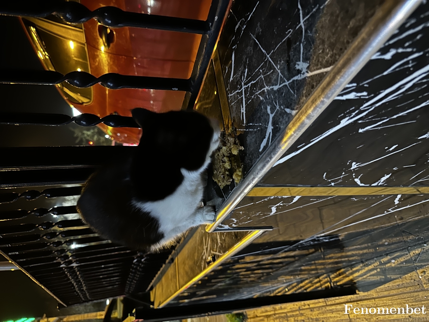 Burak343434 tarafından paylaşıldı