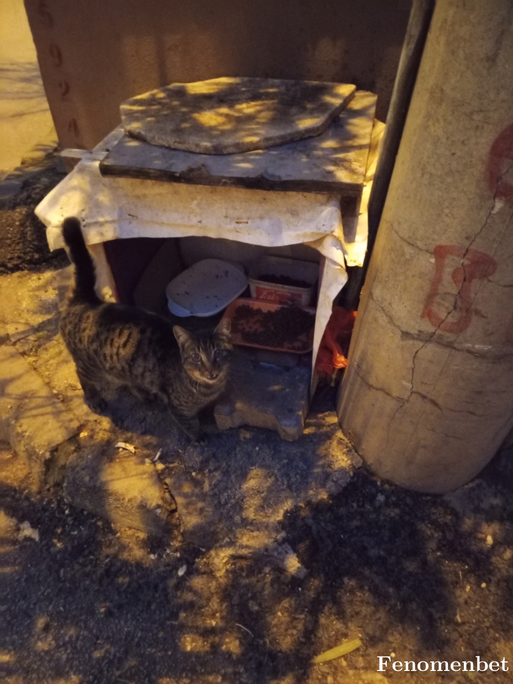 Duko91 tarafından paylaşıldı