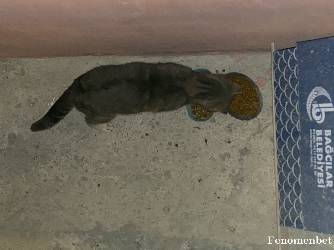 ensoo tarafından paylaşıldı