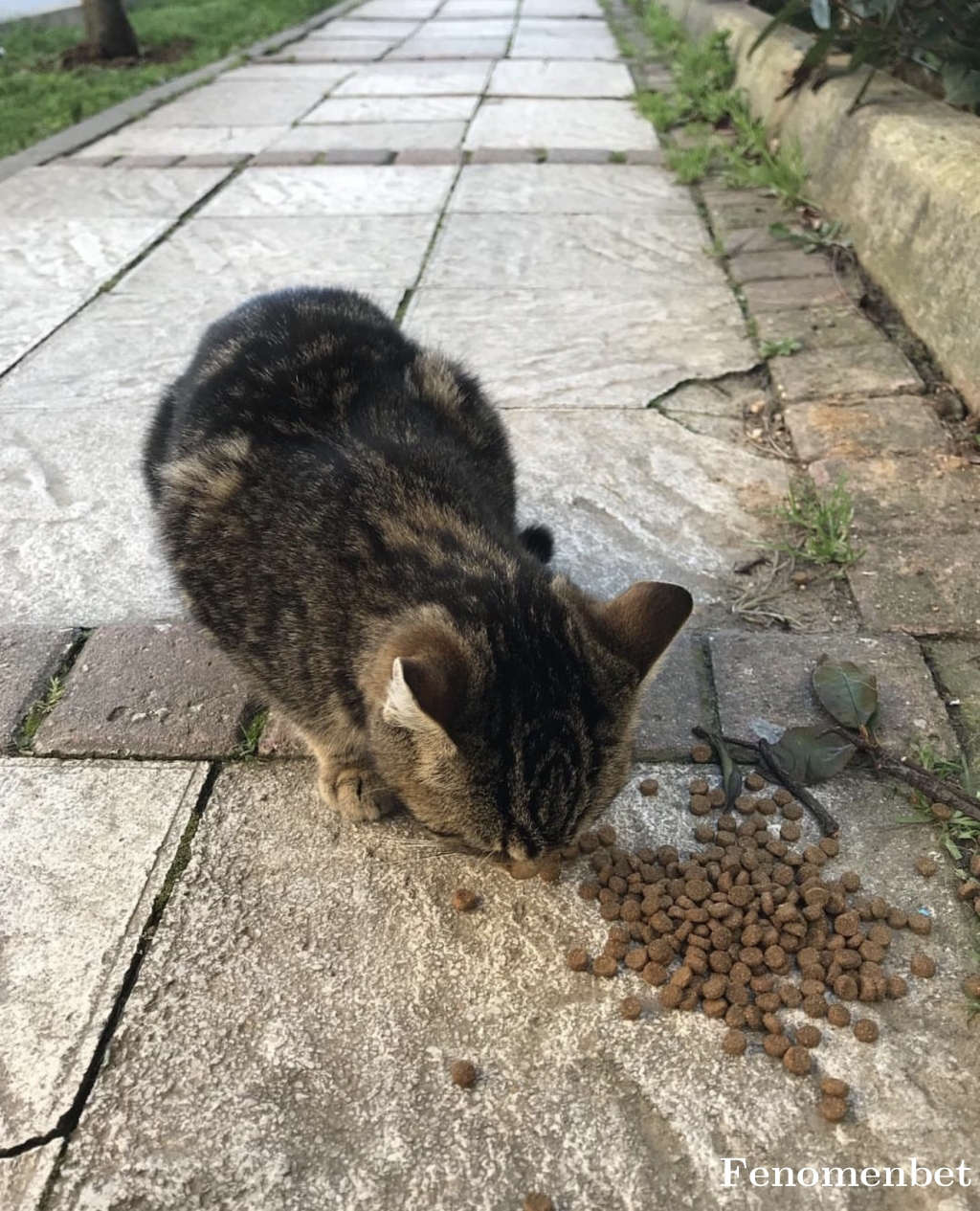 Yunusiswon tarafından paylaşıldı