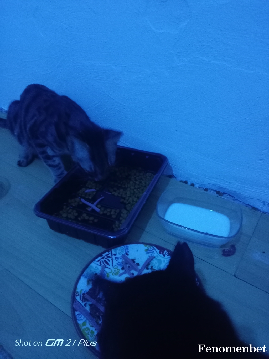 isyankarasi tarafından paylaşıldı