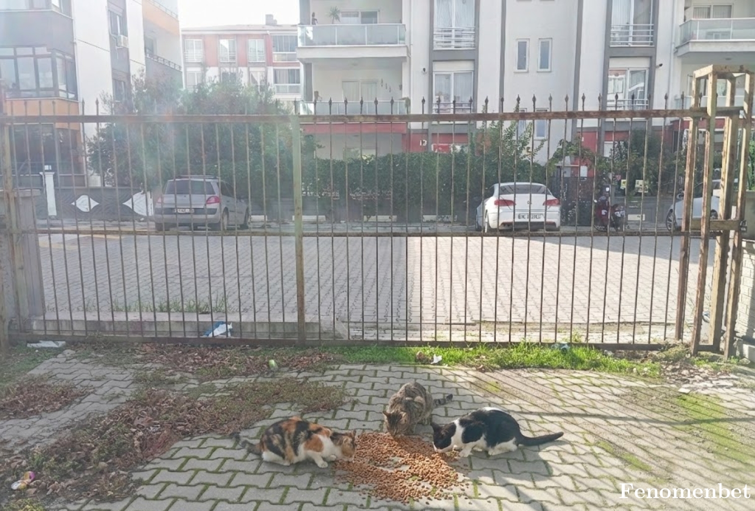 Ahmettxklc tarafından paylaşıldı