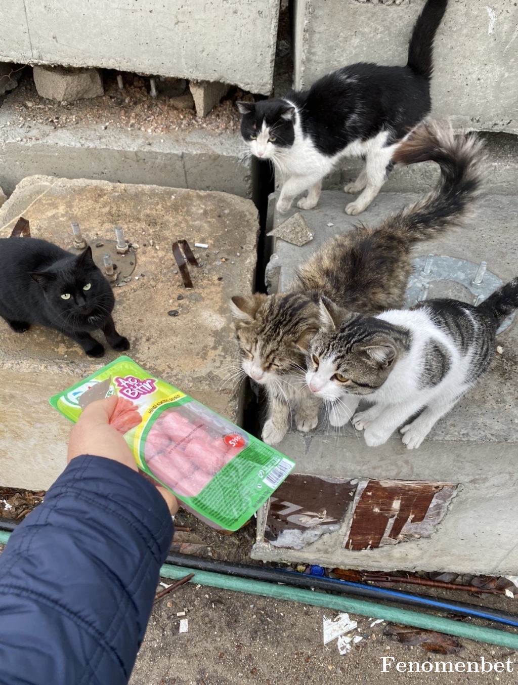 Dcaglar8 tarafından paylaşıldı