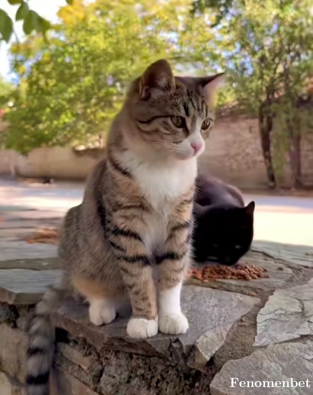 Nas733 tarafından paylaşıldı