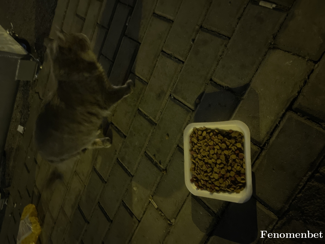 omerrserif6 tarafından paylaşıldı