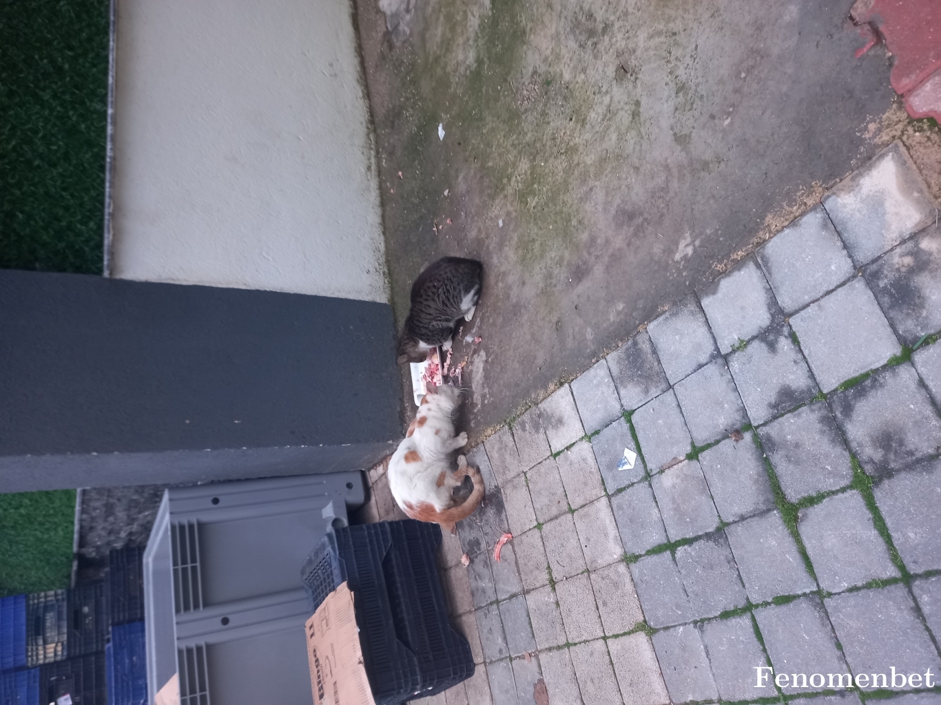 apogkmn07 tarafından paylaşıldı