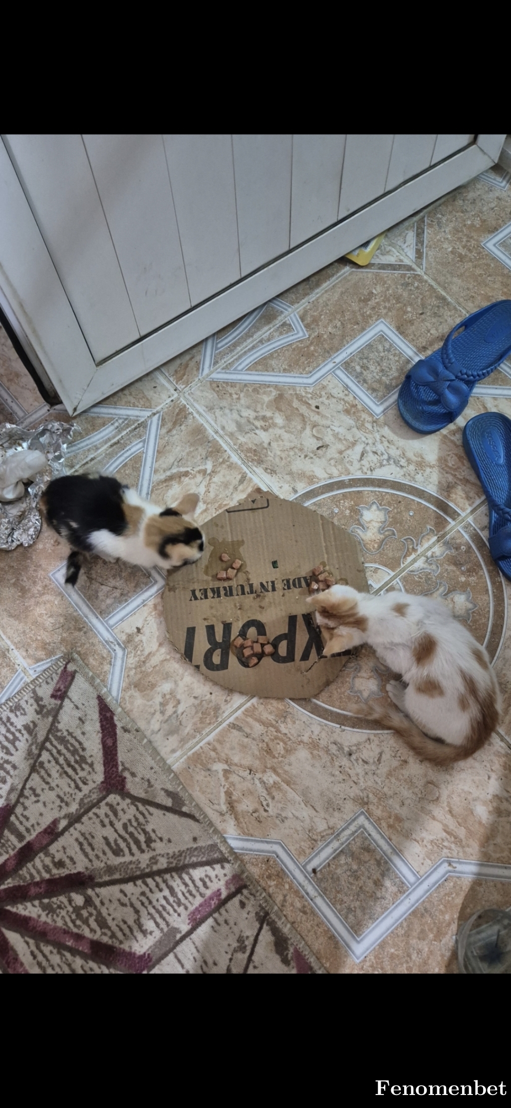 tolga3326 tarafından paylaşıldı