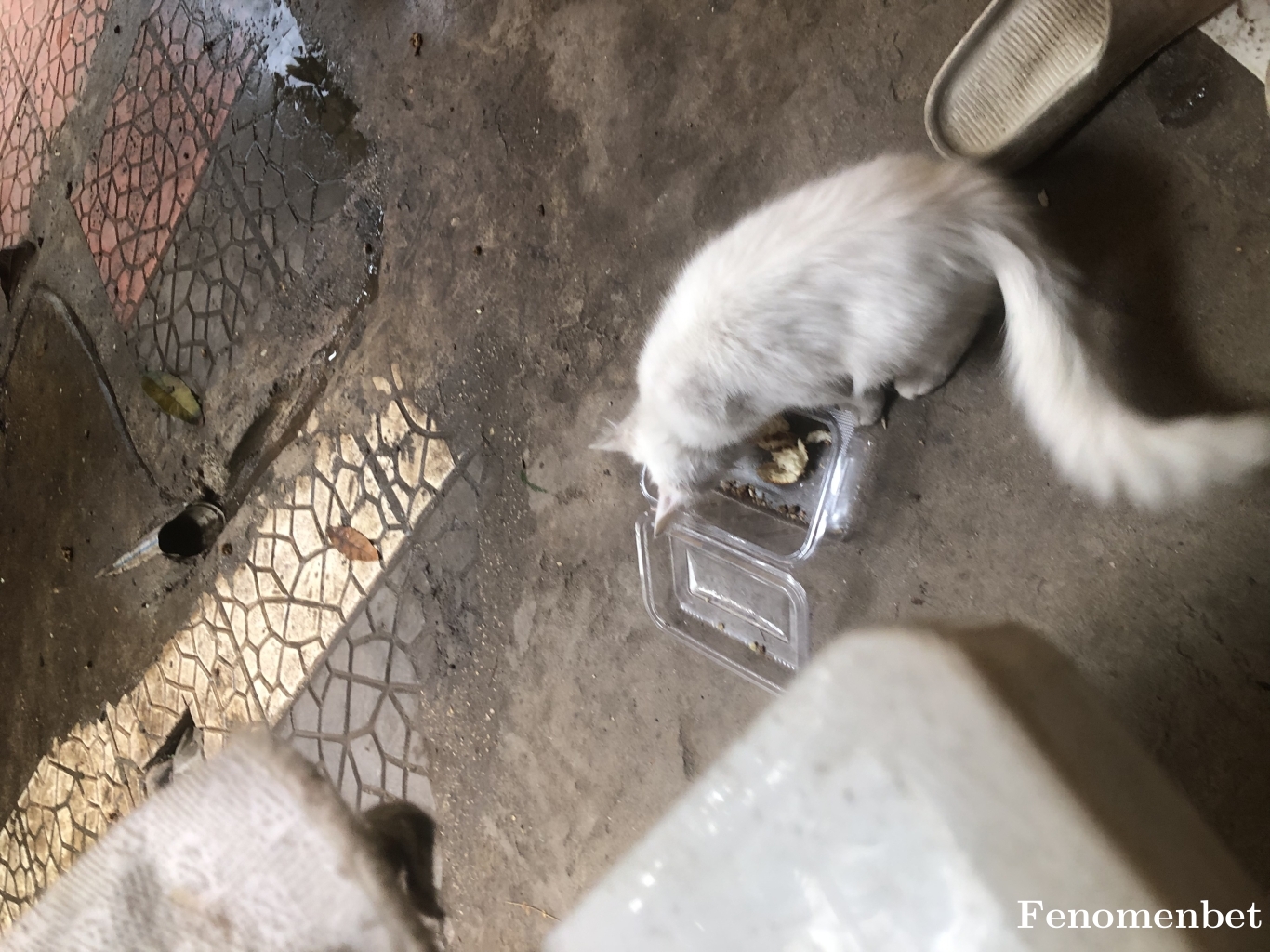 Sungate tarafından paylaşıldı