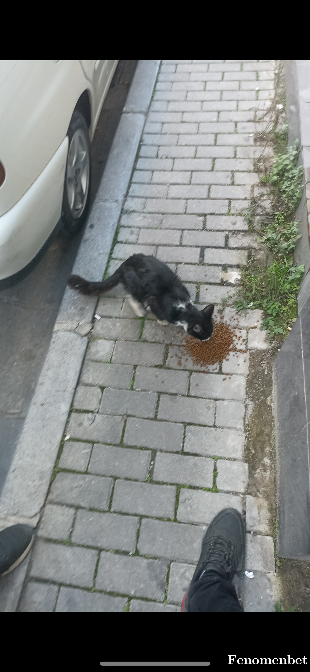 Hakanfb7 tarafından paylaşıldı