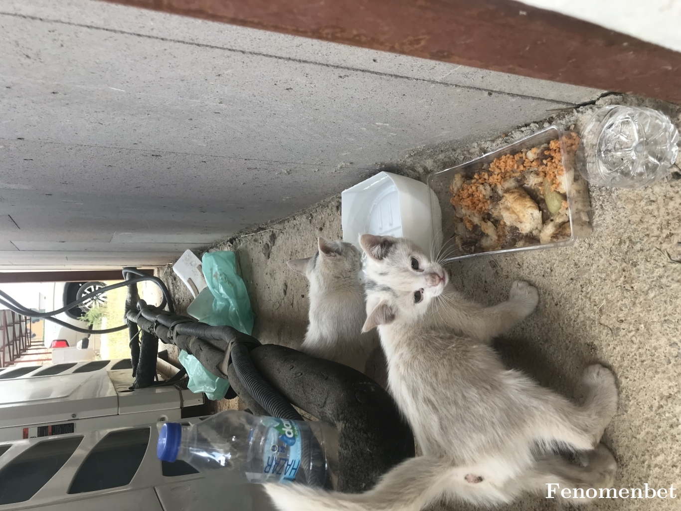 mertbayram19 tarafından paylaşıldı