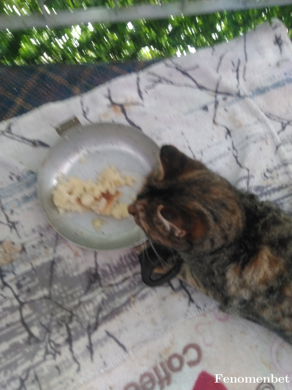 Barbarov tarafından paylaşıldı