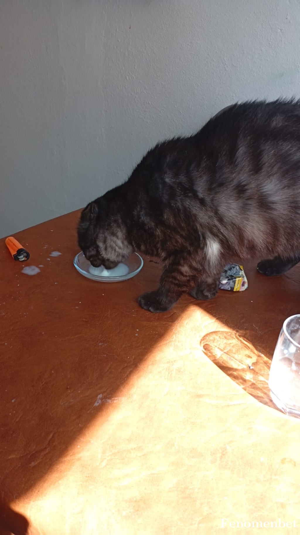 Berkeince33 tarafından paylaşıldı