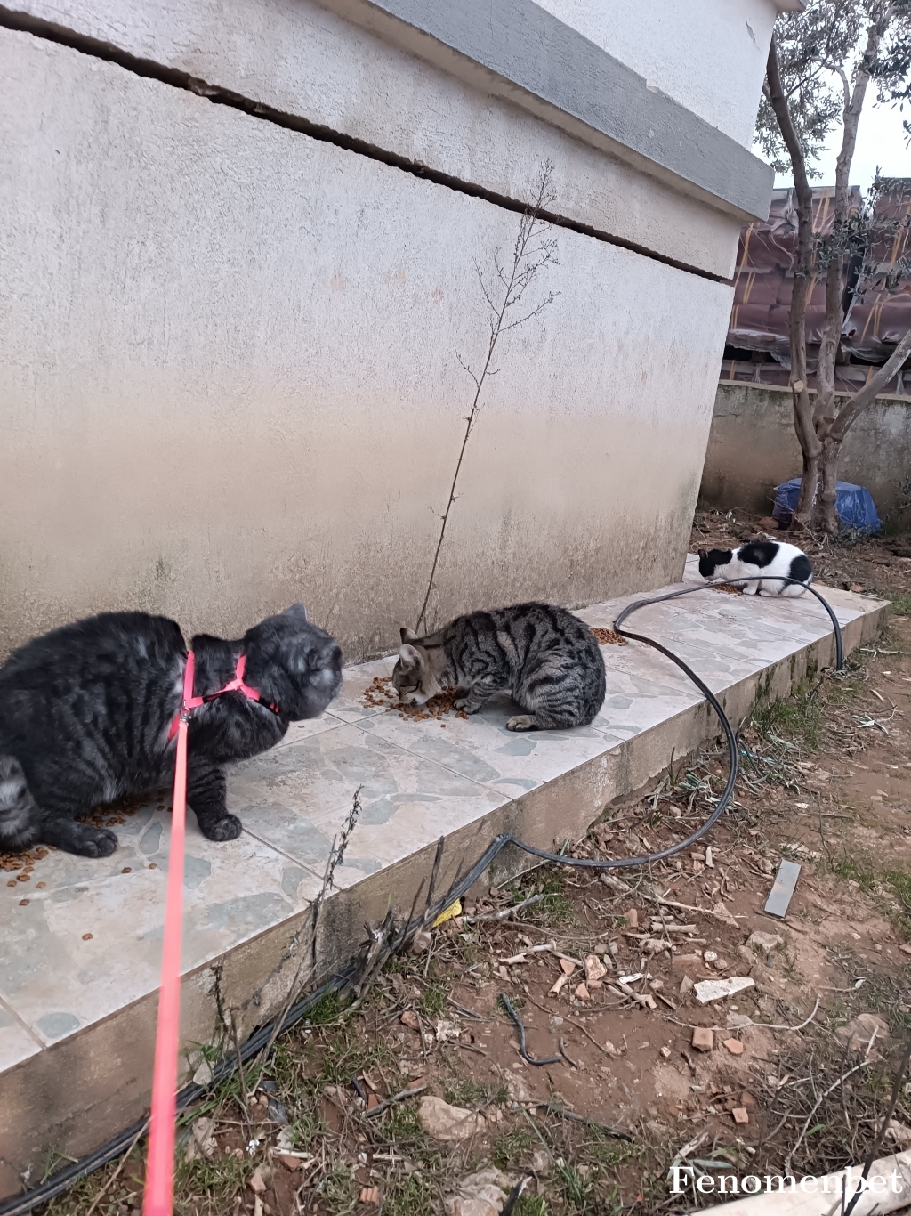 dnzolmezz tarafından paylaşıldı