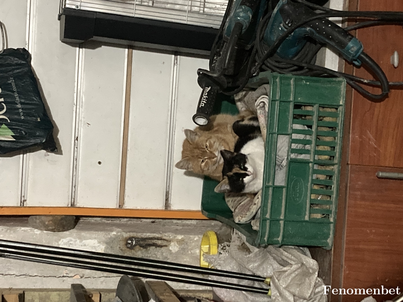 Yldz10 tarafından paylaşıldı