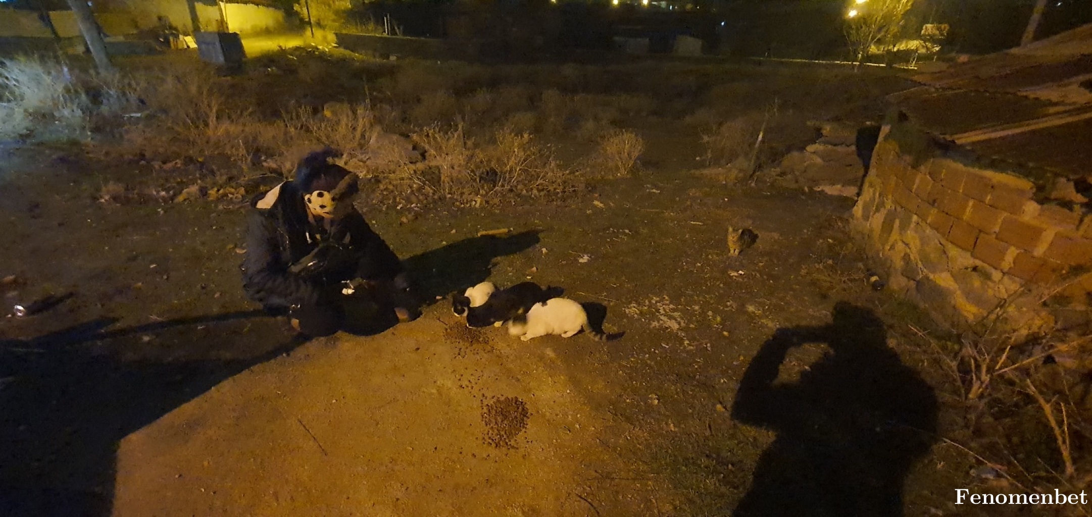 enthroned tarafından paylaşıldı