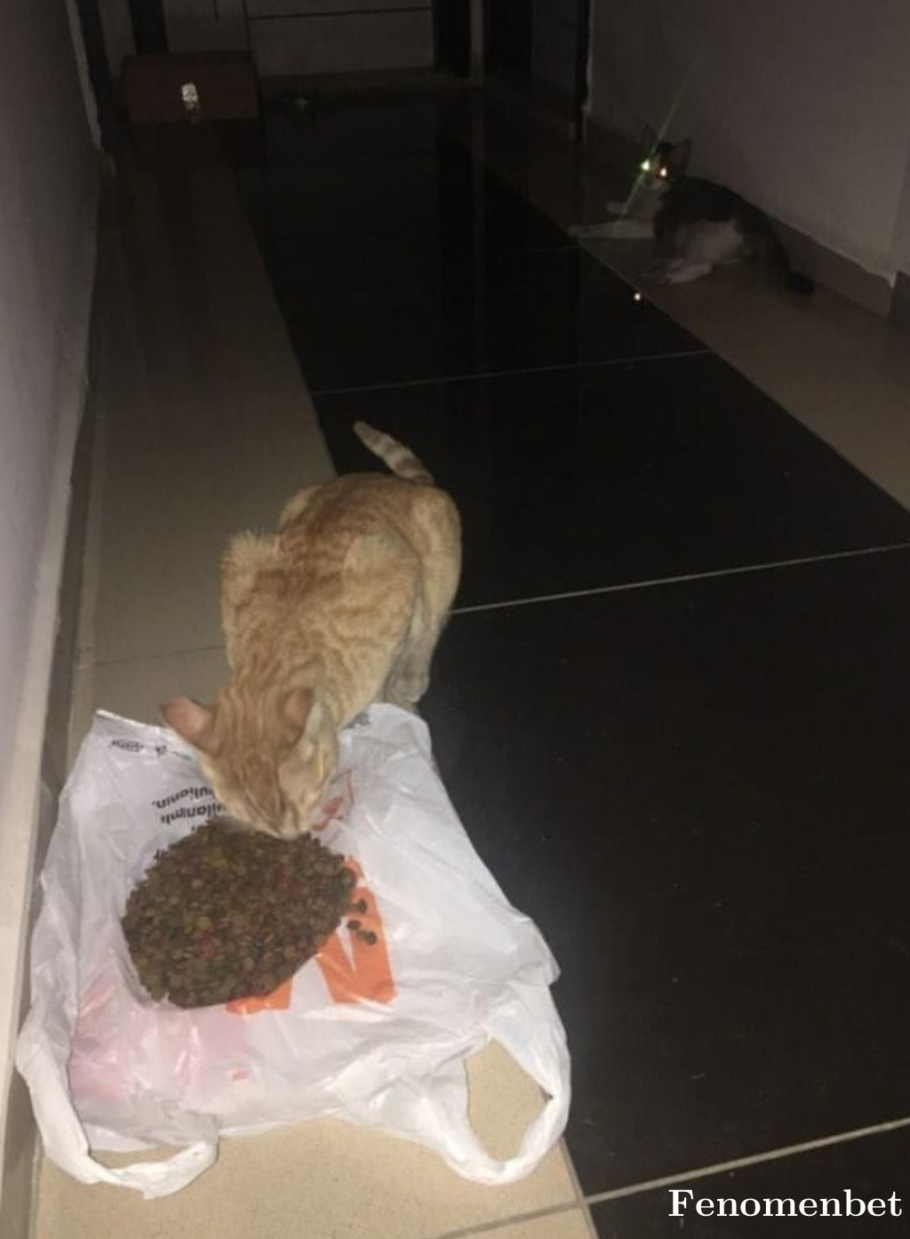 Myusuf12 tarafından paylaşıldı