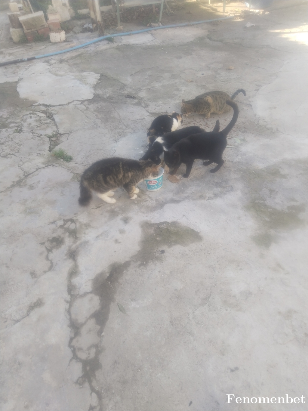 Munis0909 tarafından paylaşıldı