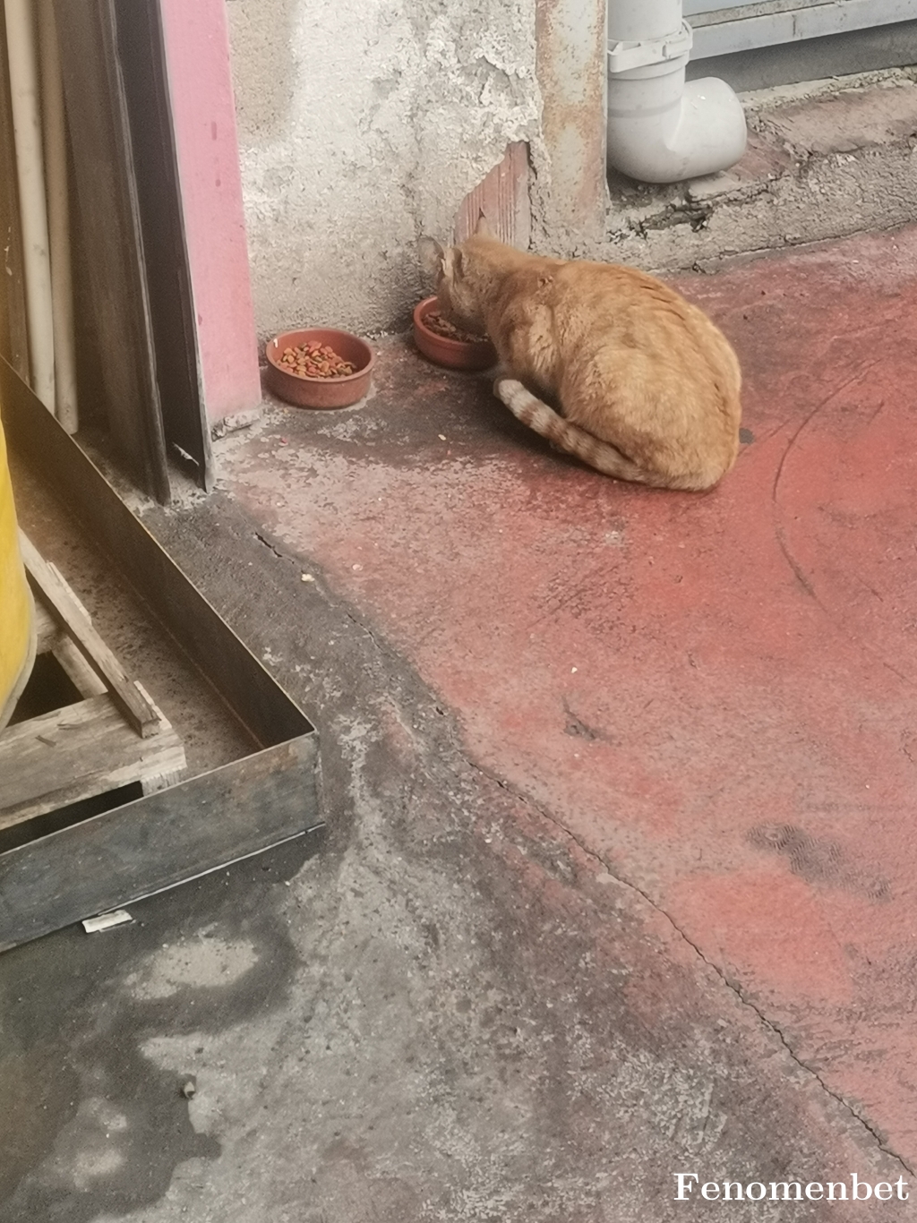 Dersinemre664 tarafından paylaşıldı