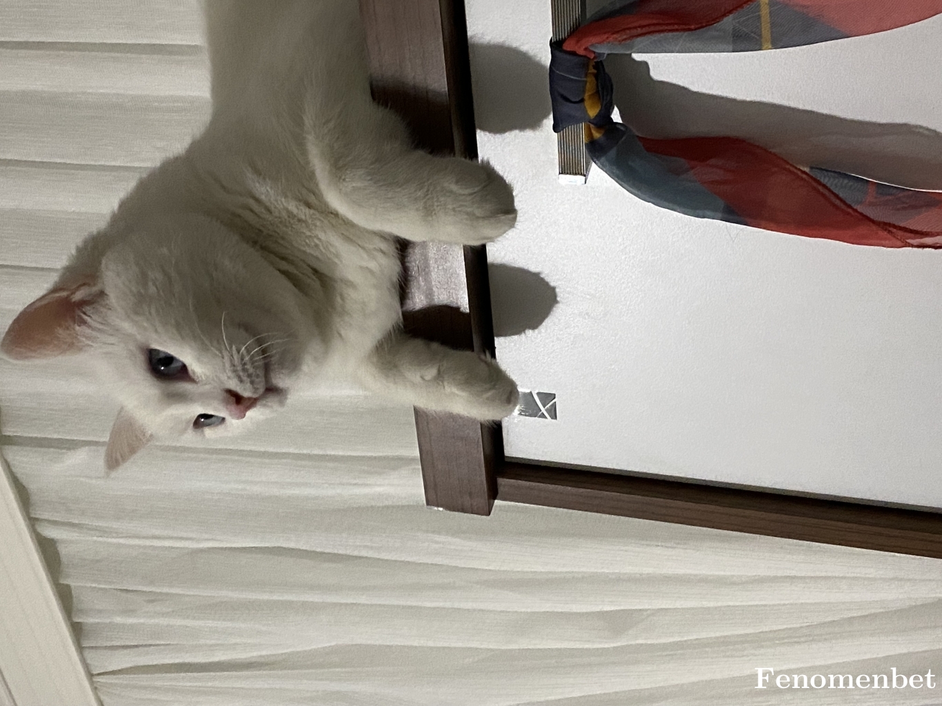 Serkan1314 tarafından paylaşıldı