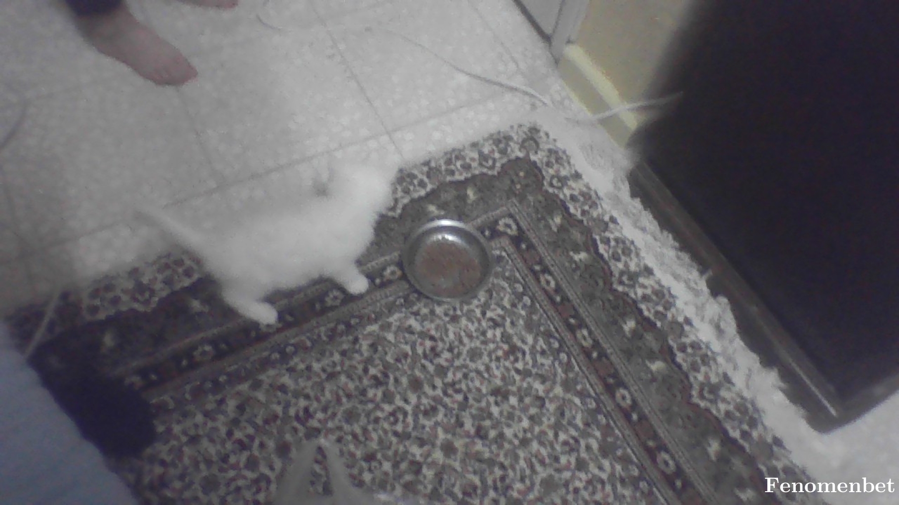 ozturkemre tarafından paylaşıldı