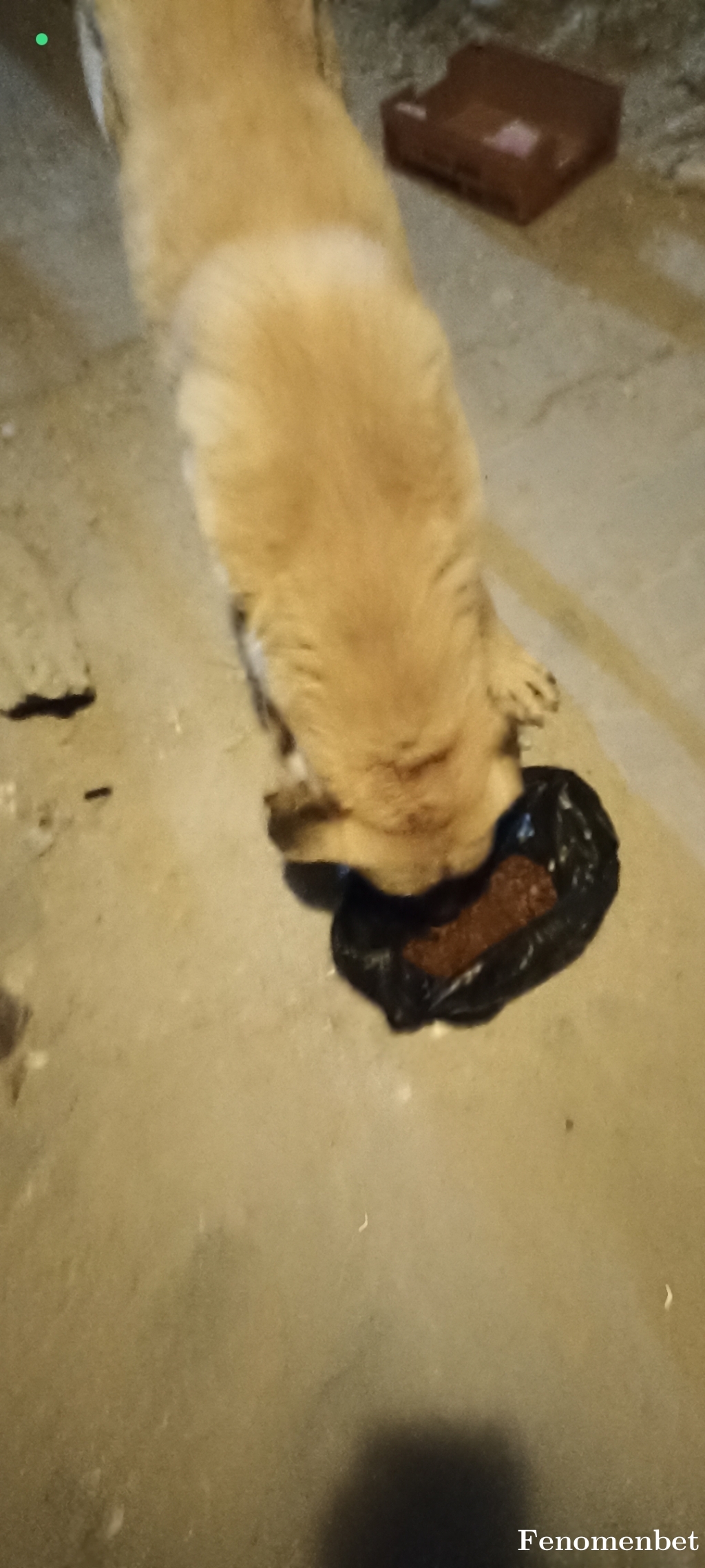 Orkan123 tarafından paylaşıldı