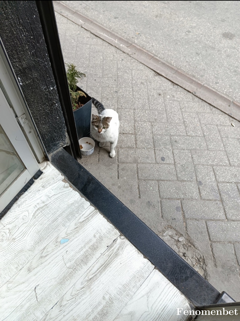 ferhat0555 tarafından paylaşıldı