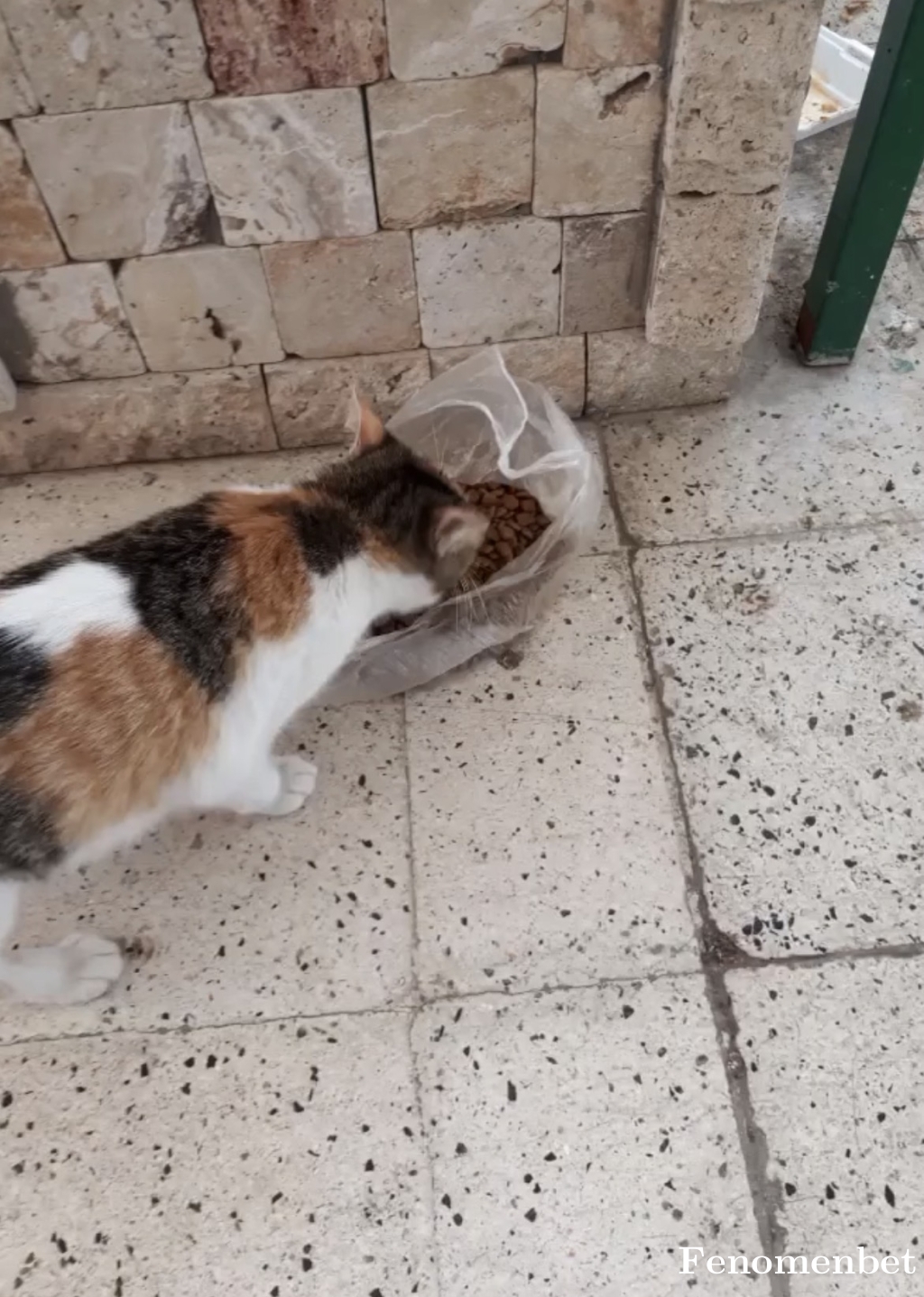 Fetrapper tarafından paylaşıldı