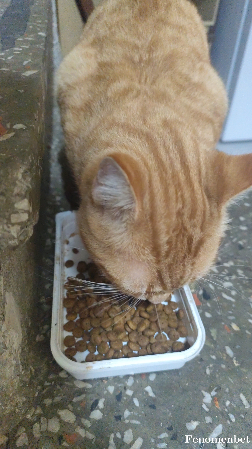 mokoko1616 tarafından paylaşıldı