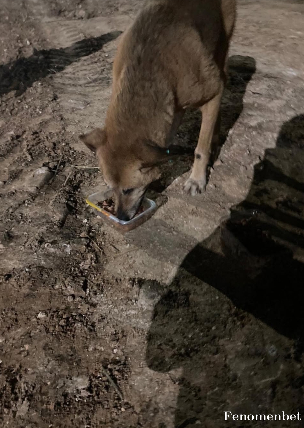 Hizli17 tarafından paylaşıldı