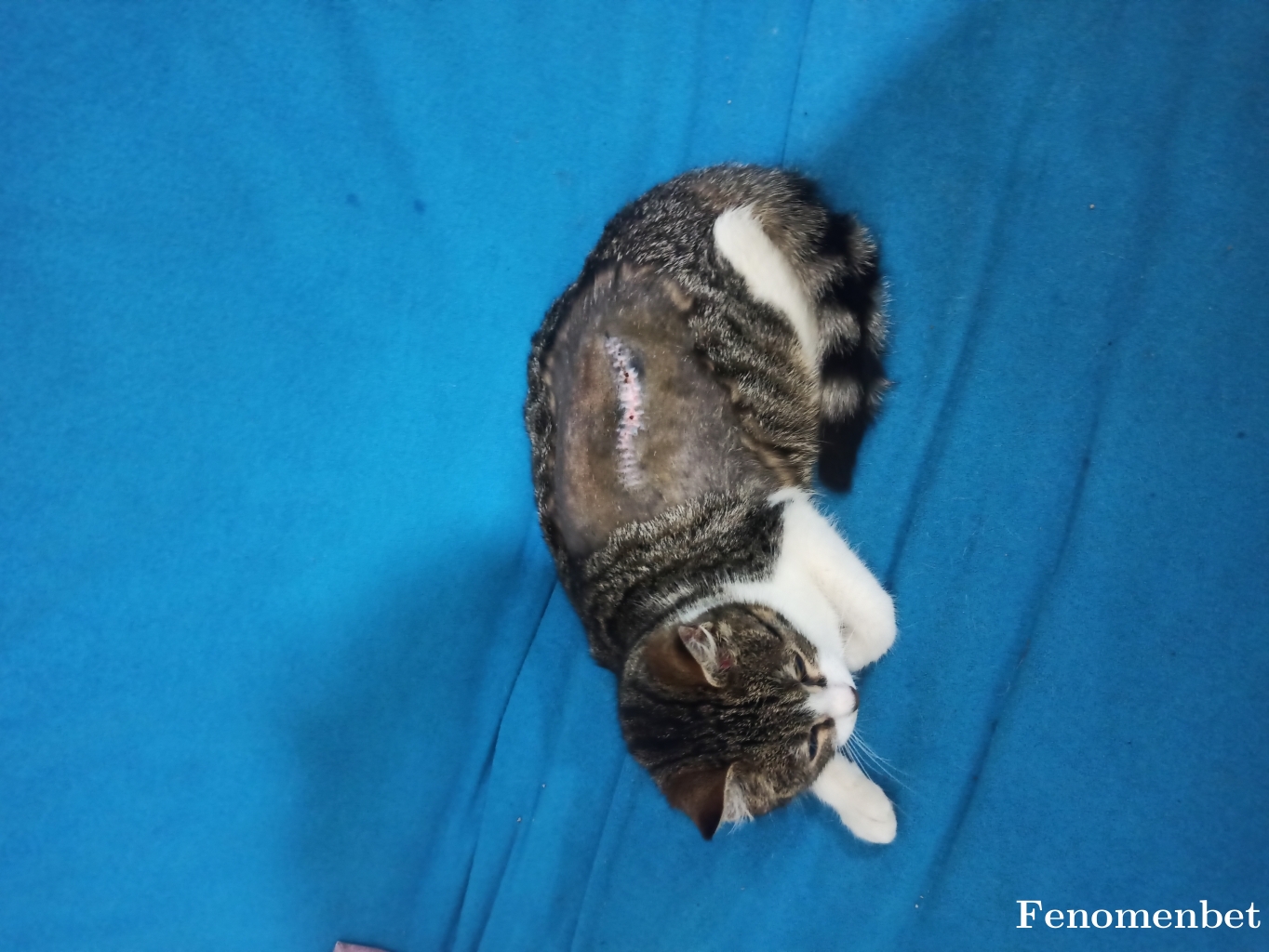 Jonsares tarafından paylaşıldı