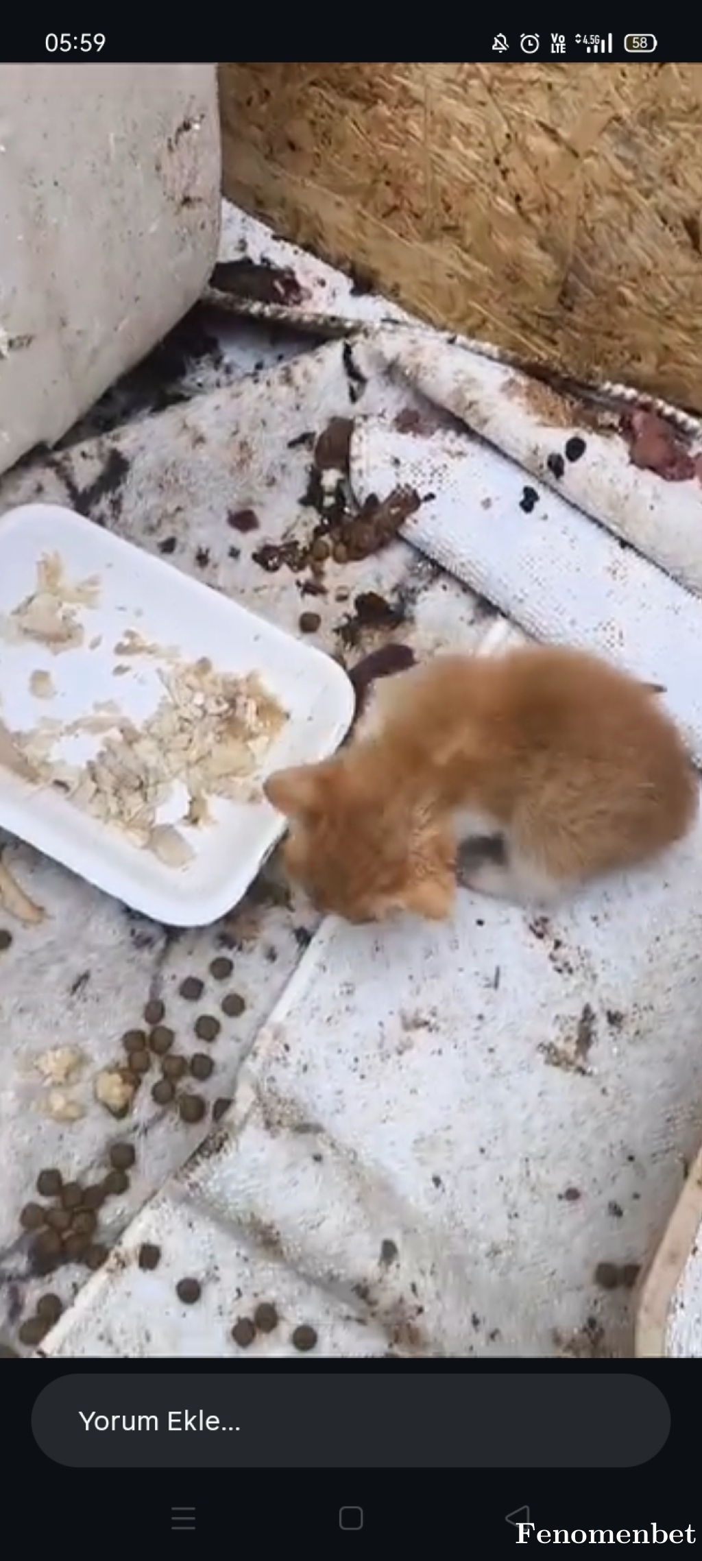 Omuryrlmz tarafından paylaşıldı