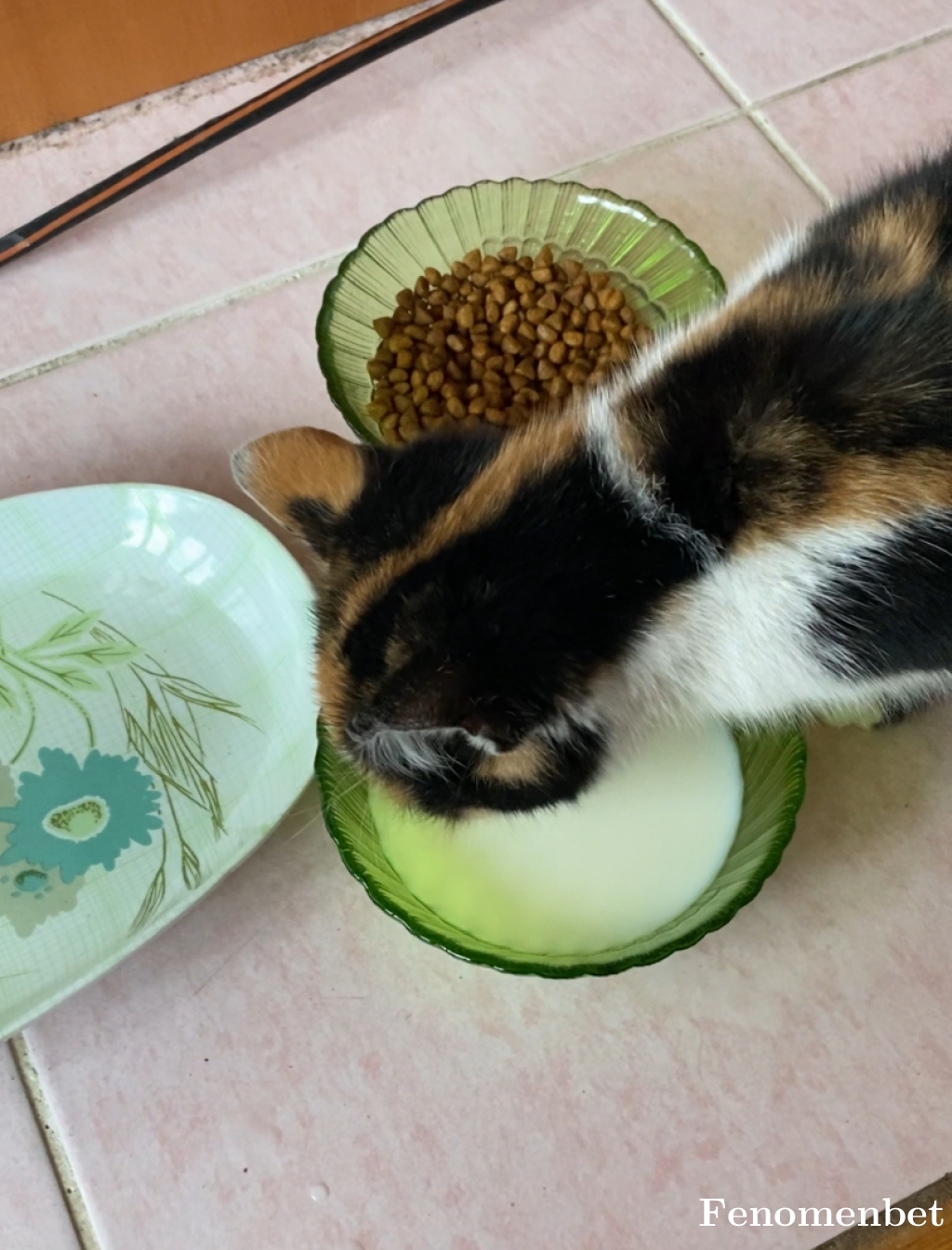 ibohimself tarafından paylaşıldı