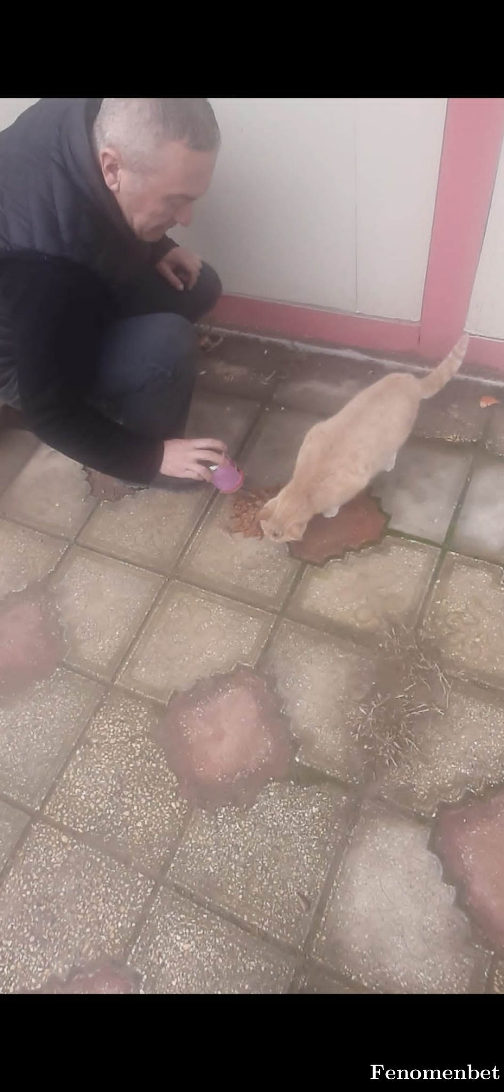 KenanMX1 tarafından paylaşıldı