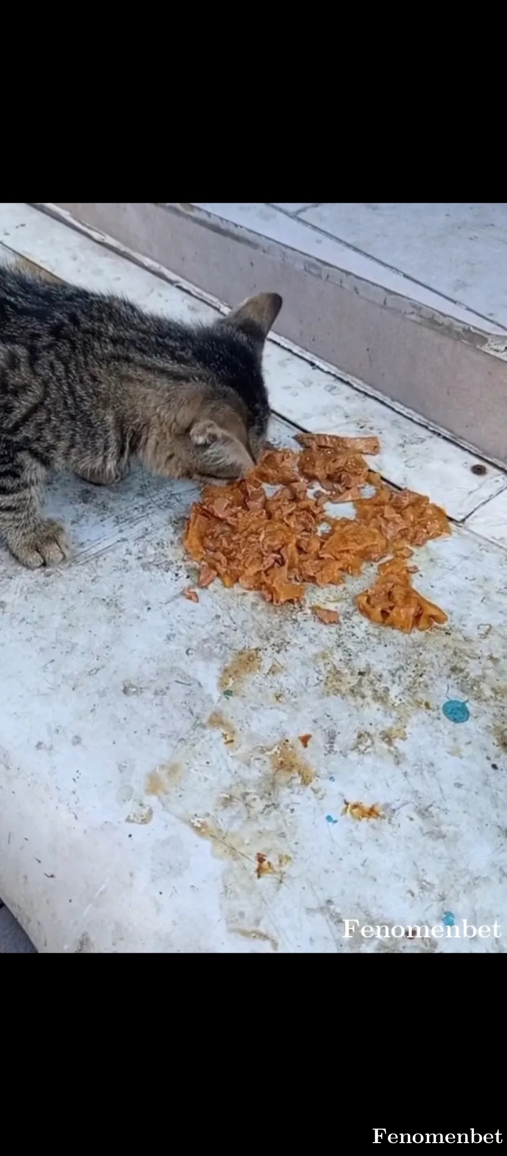 Sibel1561 tarafından paylaşıldı