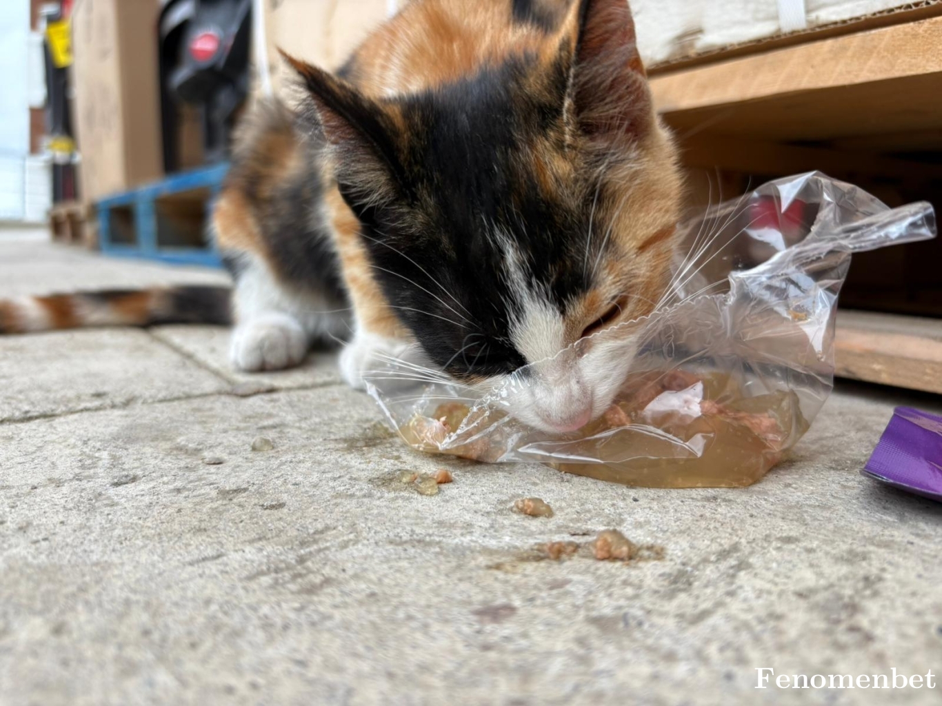 Paradiseee_61 tarafından paylaşıldı