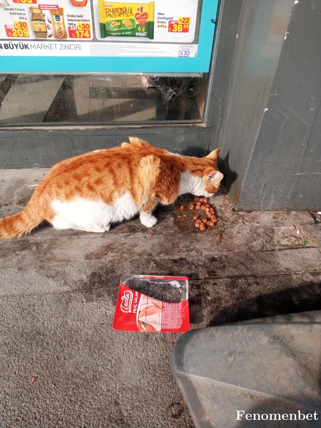 Server90 tarafından paylaşıldı