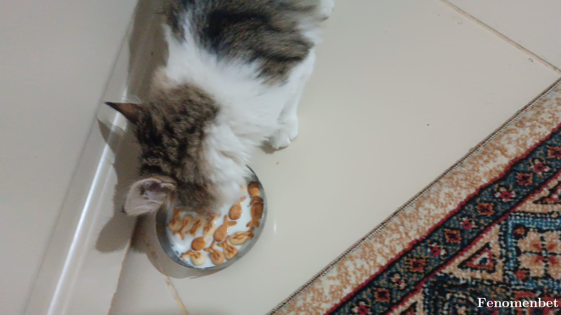 Erolyldrim tarafından paylaşıldı