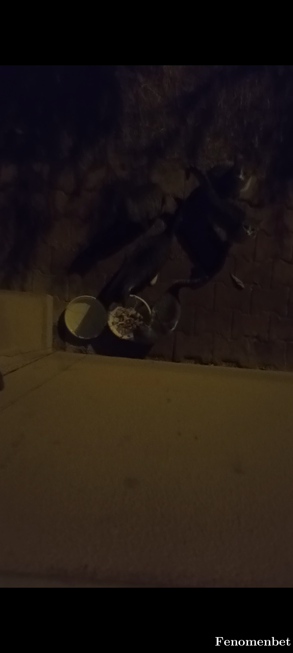 Deneyim1 tarafından paylaşıldı