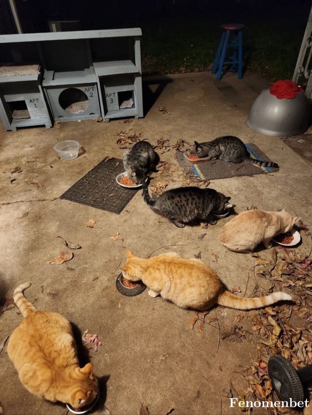 gokhan215 tarafından paylaşıldı