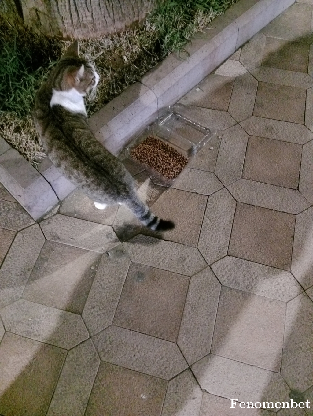 kskalex tarafından paylaşıldı