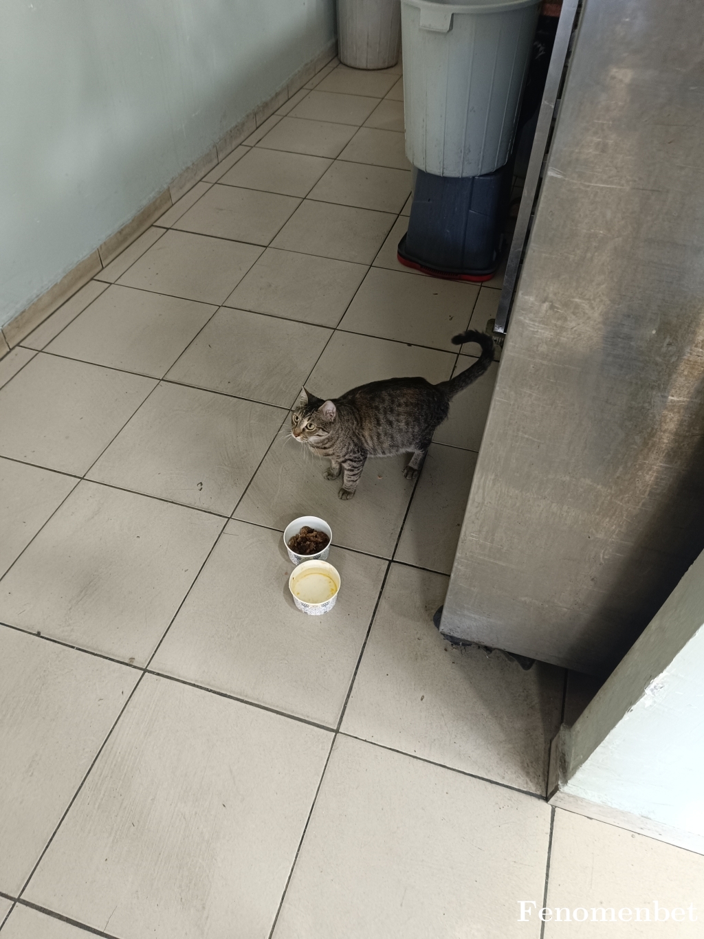 Jremrah13 tarafından paylaşıldı