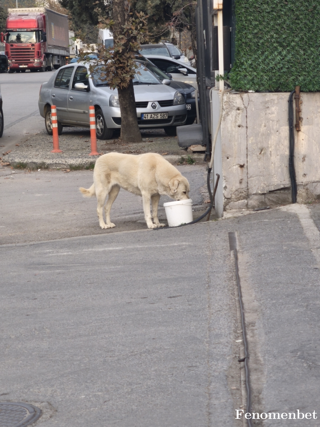 askinkeles tarafından paylaşıldı