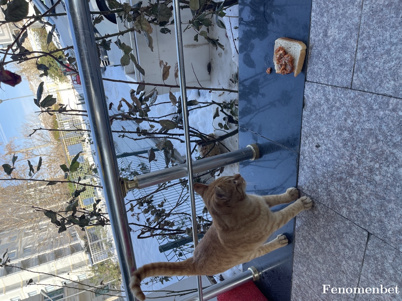 Uguracrr tarafından paylaşıldı