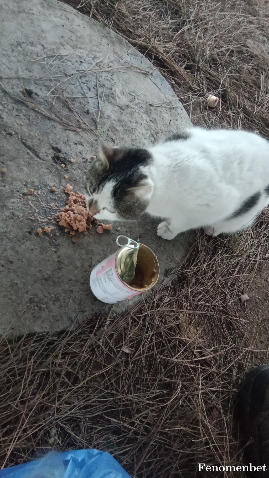 cihanduymaz  tarafından paylaşıldı