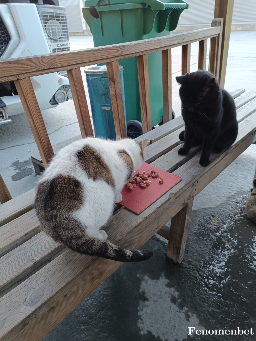 yolcu6834 tarafından paylaşıldı