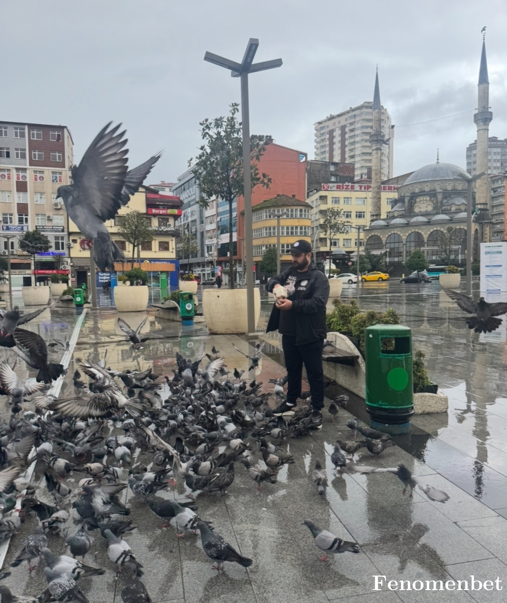 Enes145353 tarafından paylaşıldı