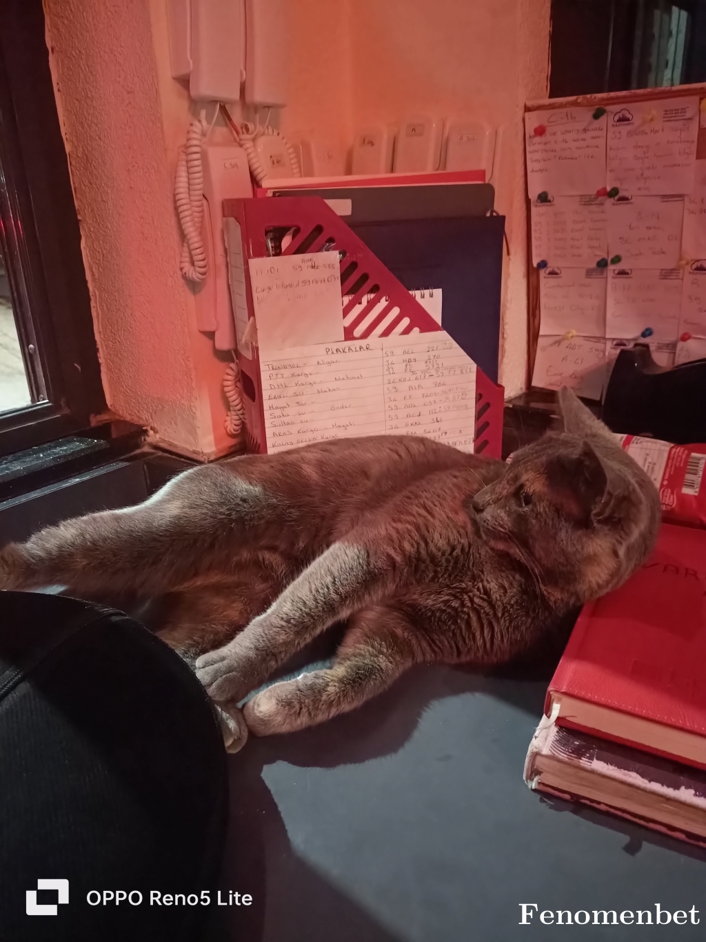 thekoray88 tarafından paylaşıldı