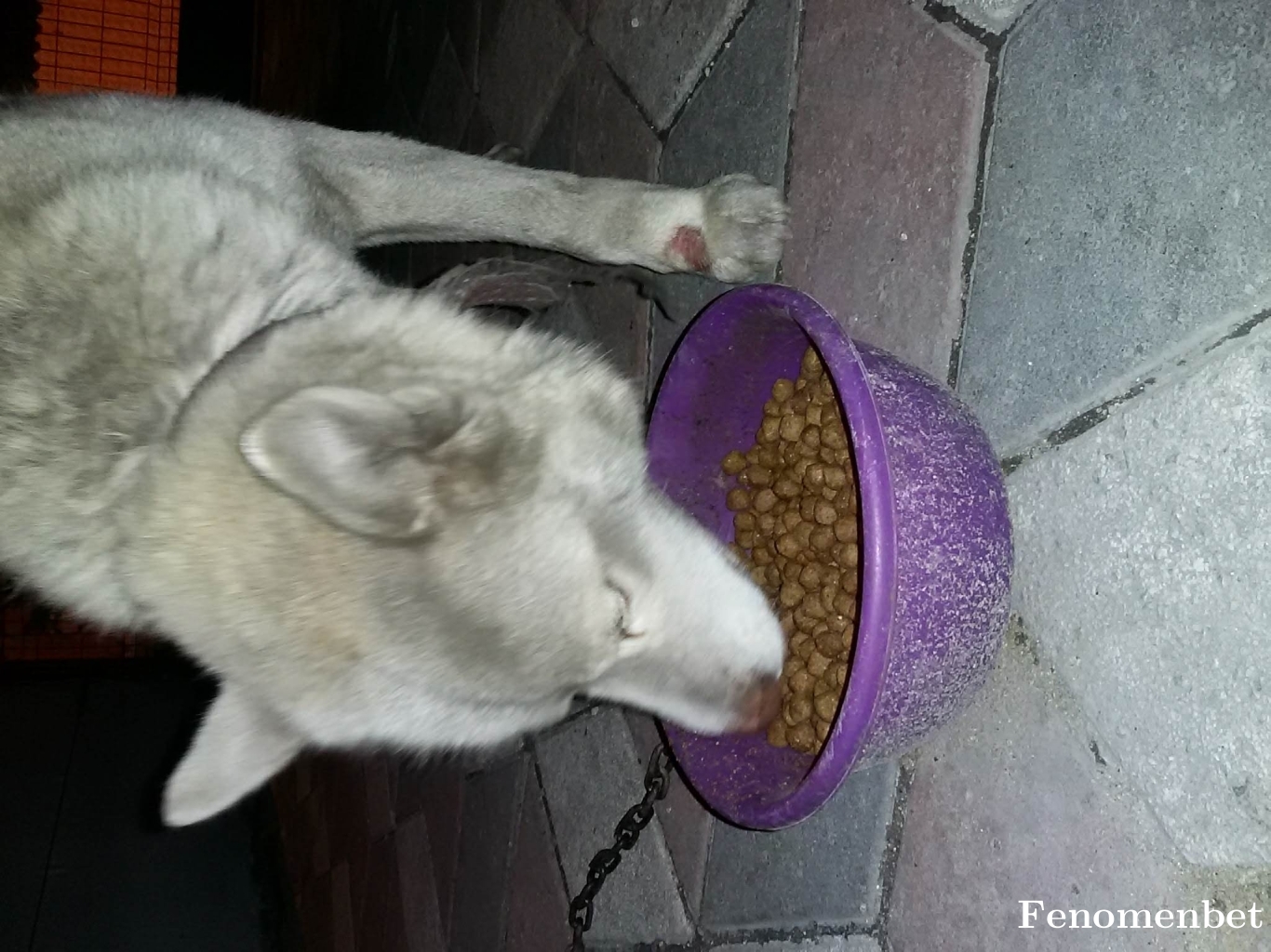 Emrecan01 tarafından paylaşıldı